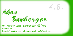 akos bamberger business card